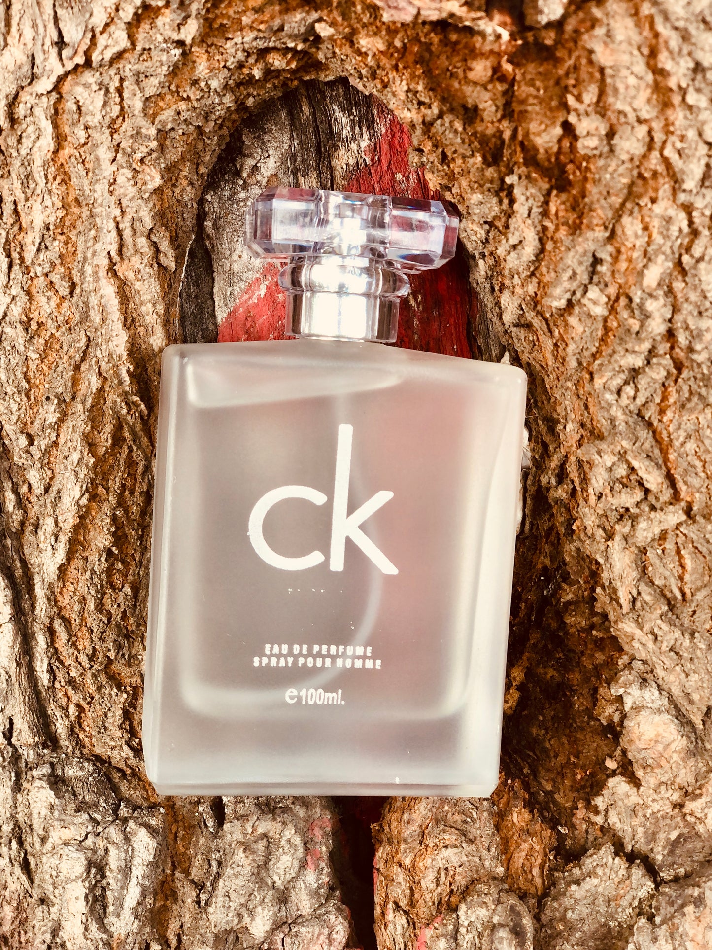 CK One Perfume (Long Lasting and unisex perfume) (100 ml)